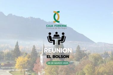 ILUSTRACIÓN-REUNIÓN-BOLSÓN